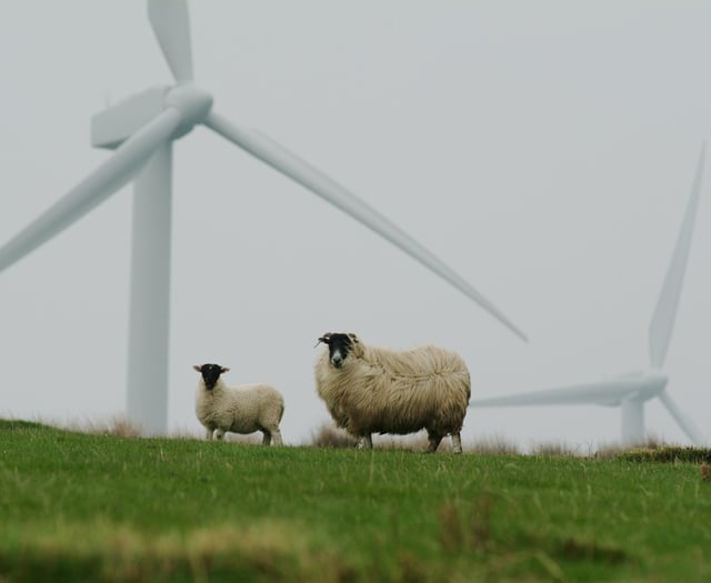 Welsh energy debate: Wind and pylons