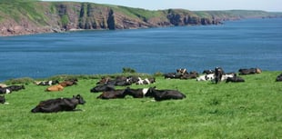 National Park launches Ffermio Bro for farming