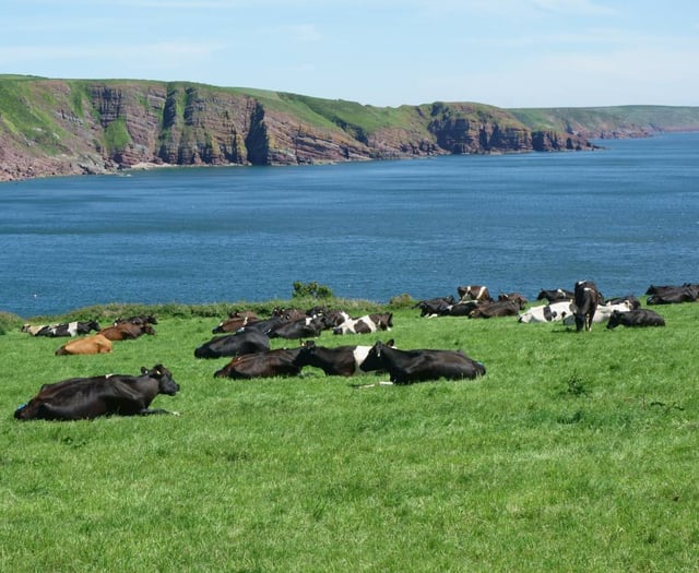 National Park launches Ffermio Bro for farming