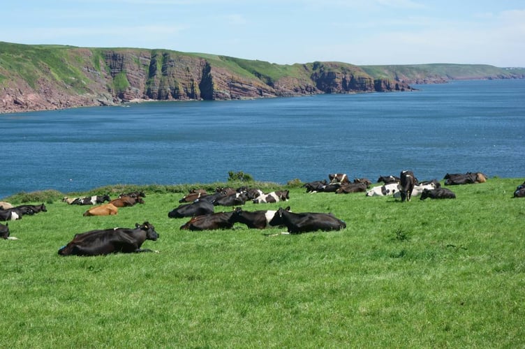 Pembrokeshire Coast National Park Authority launches innovative farming programme