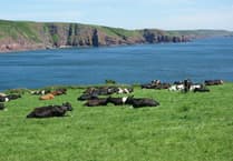 Pembrokeshire Coast National Park Authority launches innovative farming programme