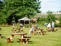 National Beer Garden Day: celebrate by supporting your local in Pembrokeshire, as pubs and bars continue to shut across the UK