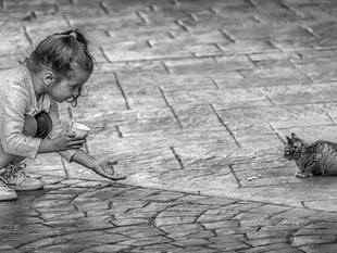 Tenby Camera Club's season ends with creative competition highlights