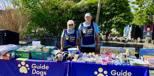 Guide Dogs seeks volunteers for Saundersfoot harbour stall