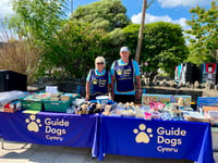 Guide Dogs seeks volunteers for Saundersfoot harbour stall