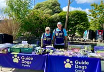 Guide Dogs seeks volunteers at Saundersfoot harbour