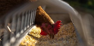 Pembrokeshire Council refuses to lift agricultural condition on home