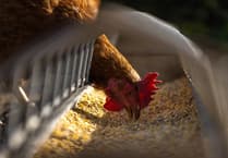 Pembrokeshire Council refuses to lift agricultural condition on home