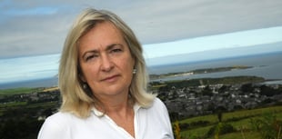 Plaid calls for urgent action from UK Government on cost of living