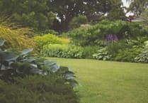 Templeton Open Gardens