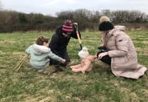 Carmarthenshire invites green grant applications