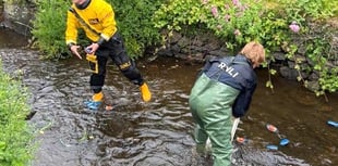 St David's RNLI 'Duck Race' raises over £1,000