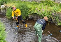 St David's RNLI 'Duck Race' raises over £1,000