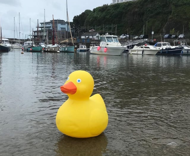 Saundersfoot Duck Race returns to raise funds for RNLI