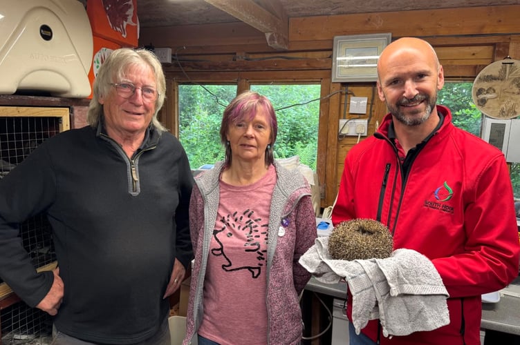Pembrokeshire hogspital