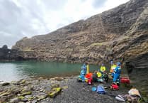 Rescue teams praised following Blue Lagoon jumping incident