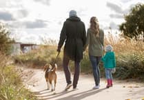 One in five Welsh Children bitten by pets, almost half needed medical attention