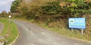 Council backs Waldo Williams catchment fix