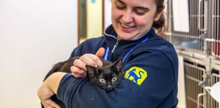RSPCA Cymru volunteers celebrated for their dedication and impact