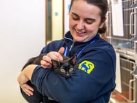 RSPCA Cymru volunteers celebrated for their dedication and impact