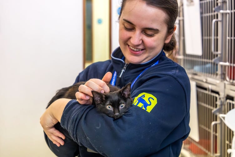 RSPCA Cymru