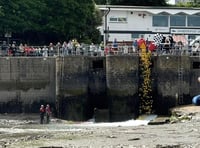 Rotary's duck race raises £1,000+ for RNLI