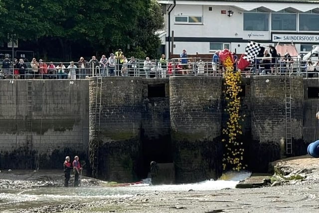 Rotary's duck race raises £1,000+ for RNLI