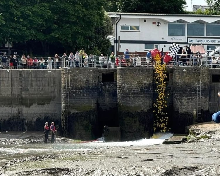 Saundersfoot Rotary Club hosted another successful charity ‘duck race’ this month at the harbour, with over £1,000 raised for the RNLI.
