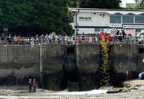 Saundersfoot Rotary's charity duck race raises over £1,000 for RNLI