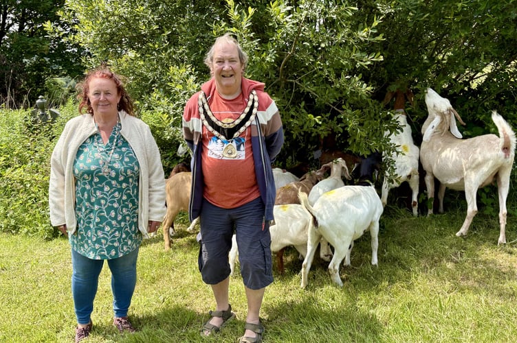 bio goats