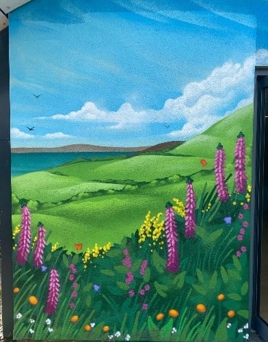 Thanks to donations, Hywel Dda Health Charities, the official charity of Hywel Dda University Health Board, has been able to fund colourful new murals for the garden walls in St Caradog Ward at Withybush Hospital in Haverfordwest.