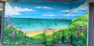 'Lloyd the Graffiti' creates colourful murals for Withybush