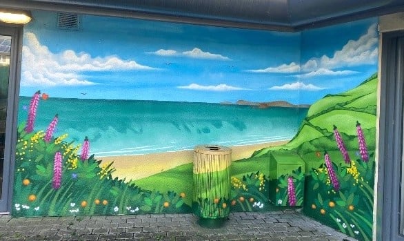 The murals were created by Lloyd the Graffiti Artist, a Pembrokeshire artist who has been painting since 1998 and has become renowned for encapsulating Pembrokeshire history and natural beauty in his work. 