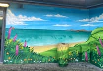 'Lloyd the Graffiti' creates colourful murals for Withybush gardens