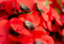 Former Councillor 'saddened' by poppy wreaths removal