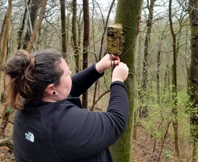 Bat conservation workshops in Pembrokeshire