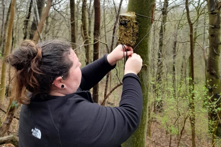 bat conservation