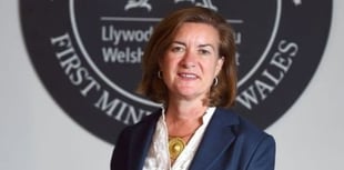 Plaid Leader criticises Welsh Labour on welfare reforms