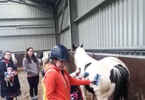 Family fun day brings joy to children and young people supported by the Wish Fund
