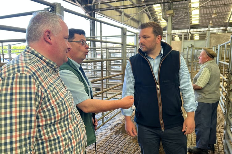 Samuel Kurtz has called out the Welsh Government's bluetongue prevention measures as flawed and harmful to the farming industry.