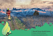 Wales' alarming wildfire surge: What you need to know