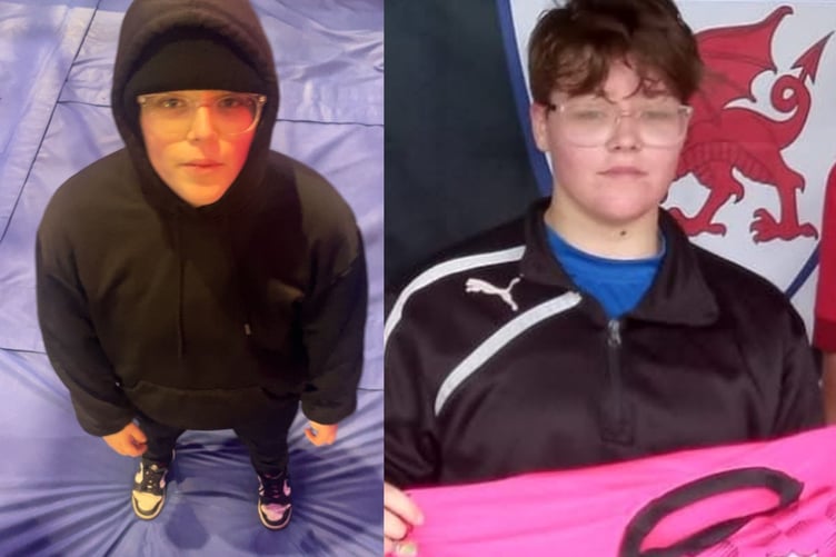 Missing from her Carmarthen home: Emily