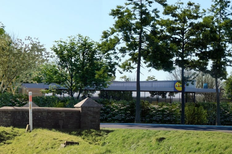 Lidl New Hedges