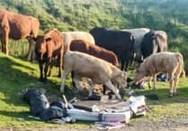 Government urged to end rural fly-tipping injustice