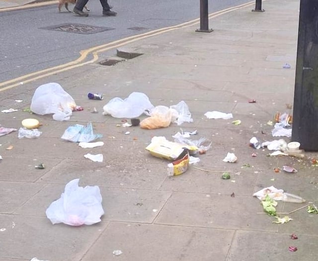 Solutions still sought to combat Tenby's litter battle