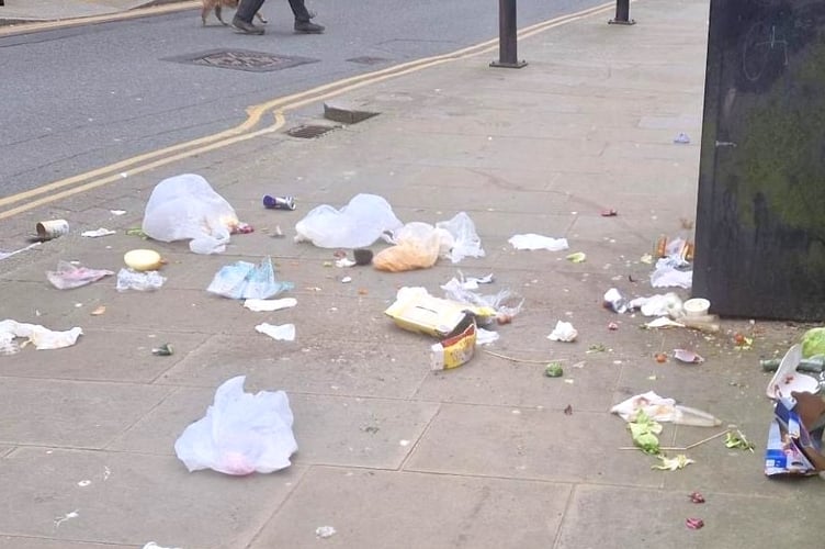 Tenby litter