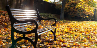 New bereavement support service launches for over 70s in Dyfed