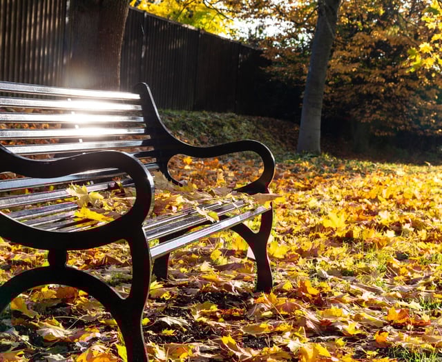 New bereavement support service launches for over 70s in Dyfed