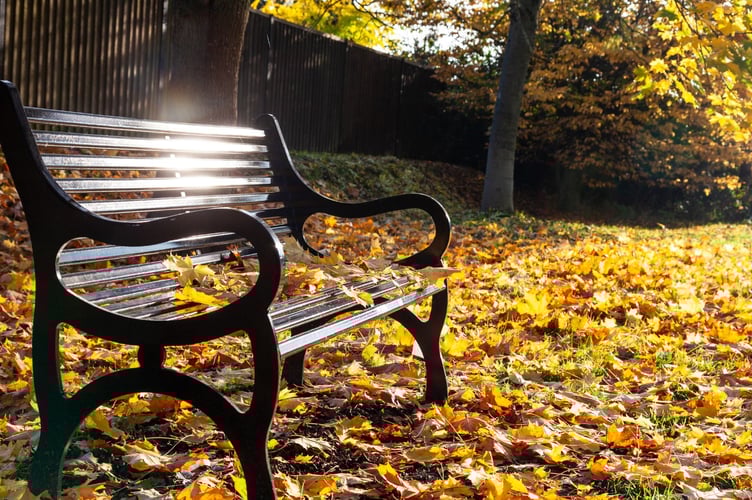 A new bereavement support service for older adults has launched across the Dyfed and Powys areas. 