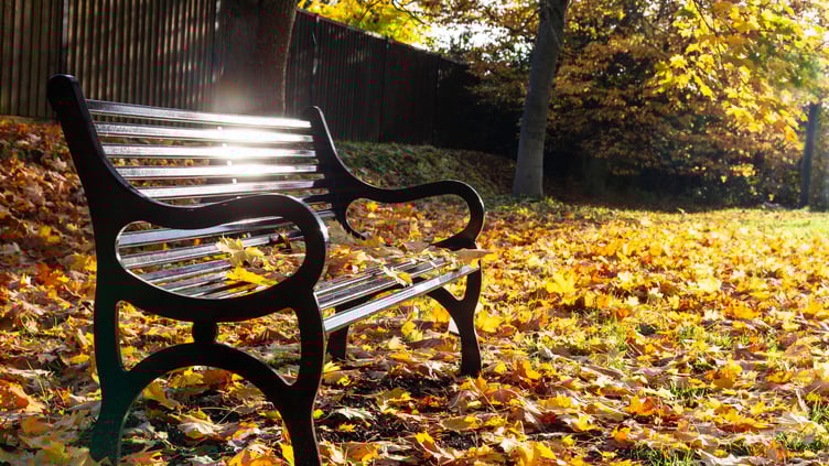 A new bereavement support service for older adults has launched across the Dyfed and Powys areas.